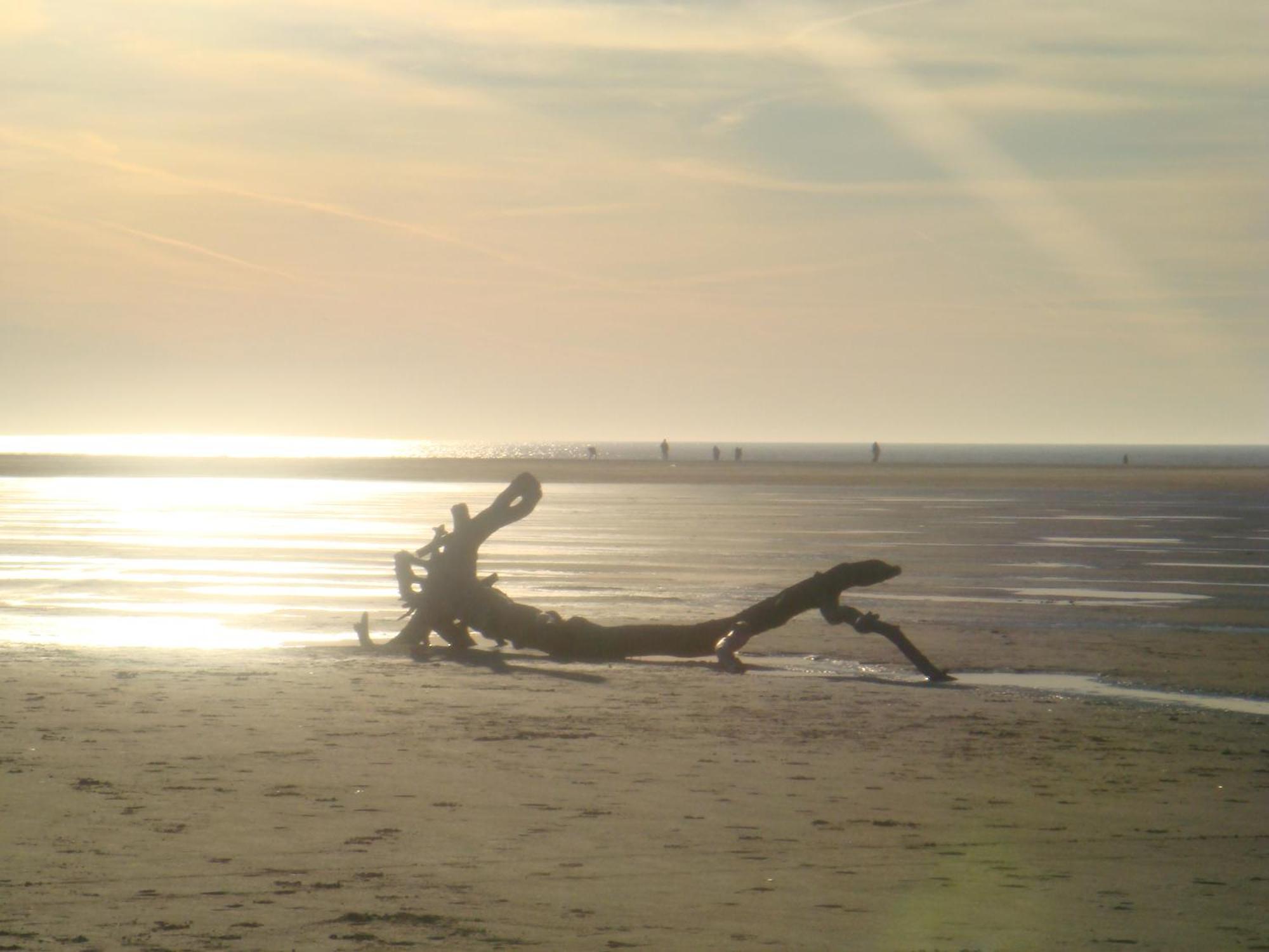 Hotel Twilling Sankt Peter-Ording Exteriör bild